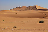 Saudi Arabia desert