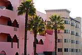 Rose building with palms tree San Francisco Usa