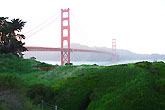 Golden gate behind grass San francisco Usa