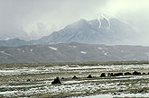 Great sand dunes Colorado Usa