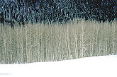 Aspen Colorado Usa