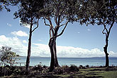 Noosa national park Queensland Australia