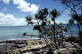 Noosa national park Queensland Australia