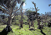 Noosa national park Queensland Australia