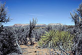 Utah landscape