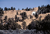 Coral sands dunes Utah
