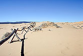 Coral sands dunes Utah