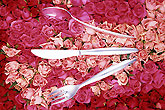 Roses with silver wares