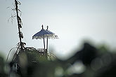 Bali ceremony umbrella