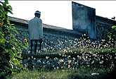 Man prayer Bali Indonesia