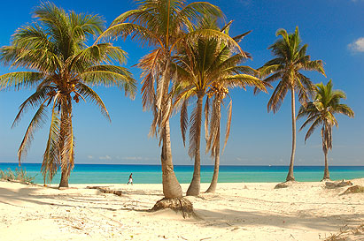 Keywords: palms beach playa cuba sea  blue sky sand man 