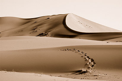 Keywords: saudi arabia desert dunes traces sepia 